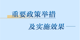 重要舉措及實(shí)施效果
